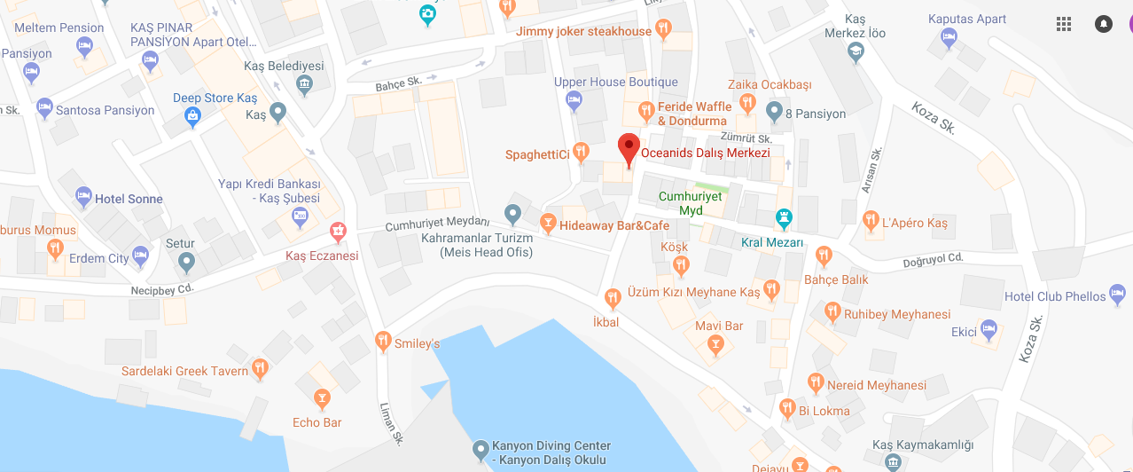2018-06-10 17_09_10-Oceanids Dalış Merkezi - Google Haritalar